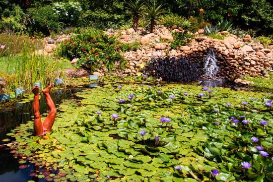 Jardim Botânico Plantarum