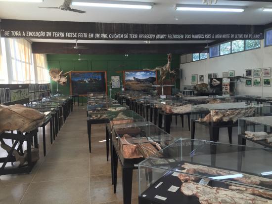 Museu de Paleontologia de Monte Alto
