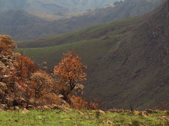 Serra da Calçada
