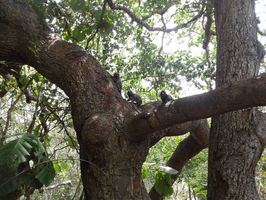 Parque Botânico do Ceará