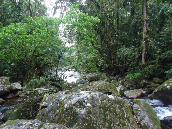 Parque Estadual do Pau Oco