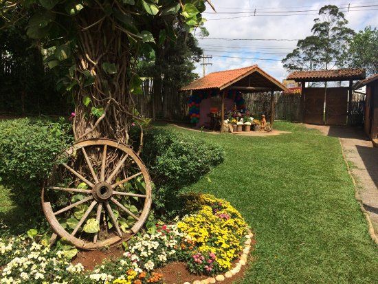 Pet Zoo
