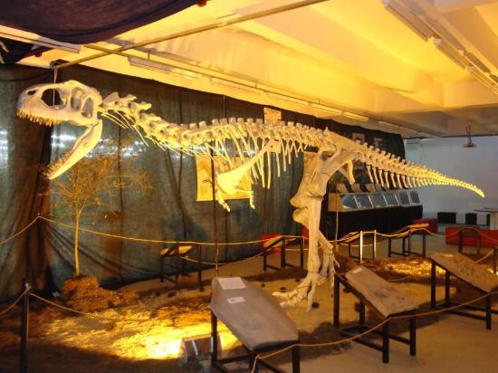 Museu Da Ciência De São Carlos Prof. Mario Tolentino