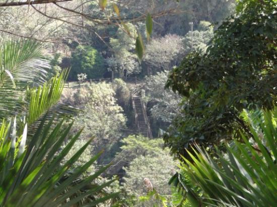 Parque do Basalto