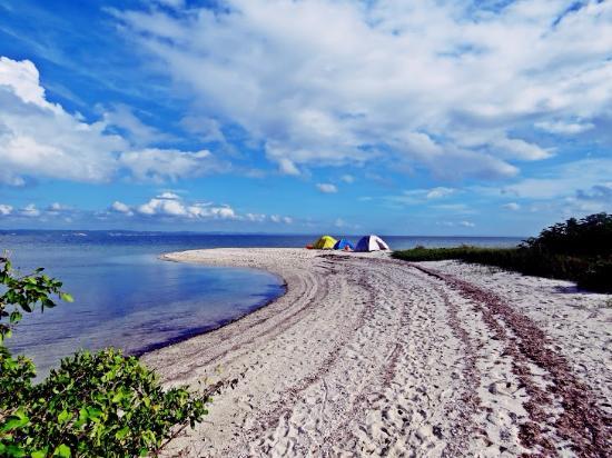 Estacao Ecologica da Ilha do Medo