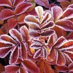 Docaria Soft