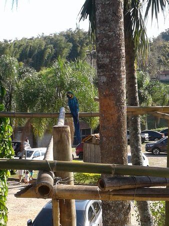 Museu da Cachaça