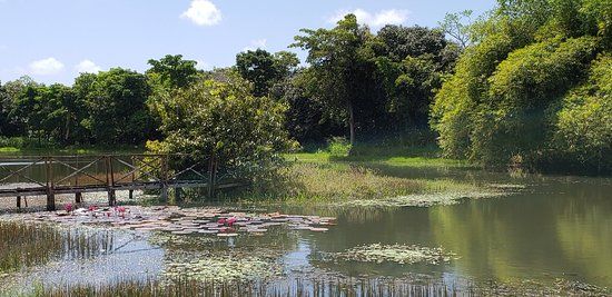 Zoológico Municipal Sargento Prata
