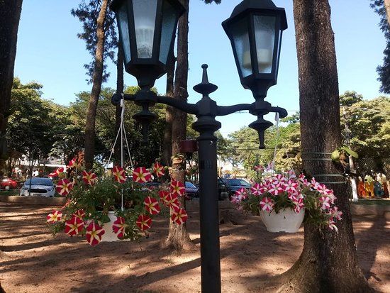Parque Van Gogh