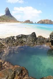 Praia do Cachorro