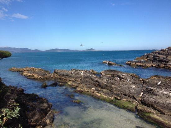Morro do Arpoador