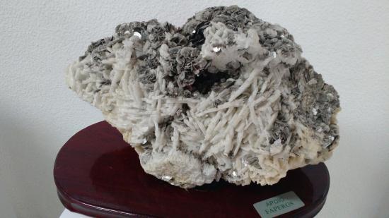 Museu de Geologia