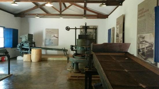 Museu do Chá