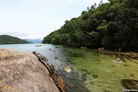 Ilha da Cutia