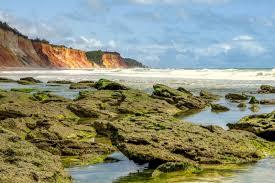 Jacarecica do Sul