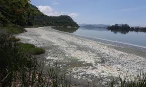 Lagoa de Piratininga