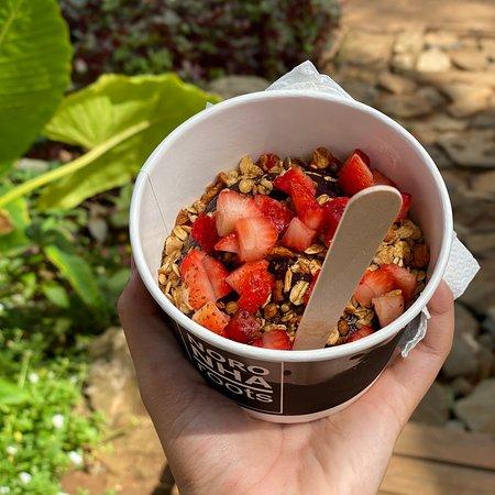 Acai Noronha Roots