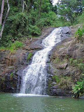 Floresta Nacional de Passa Quatro