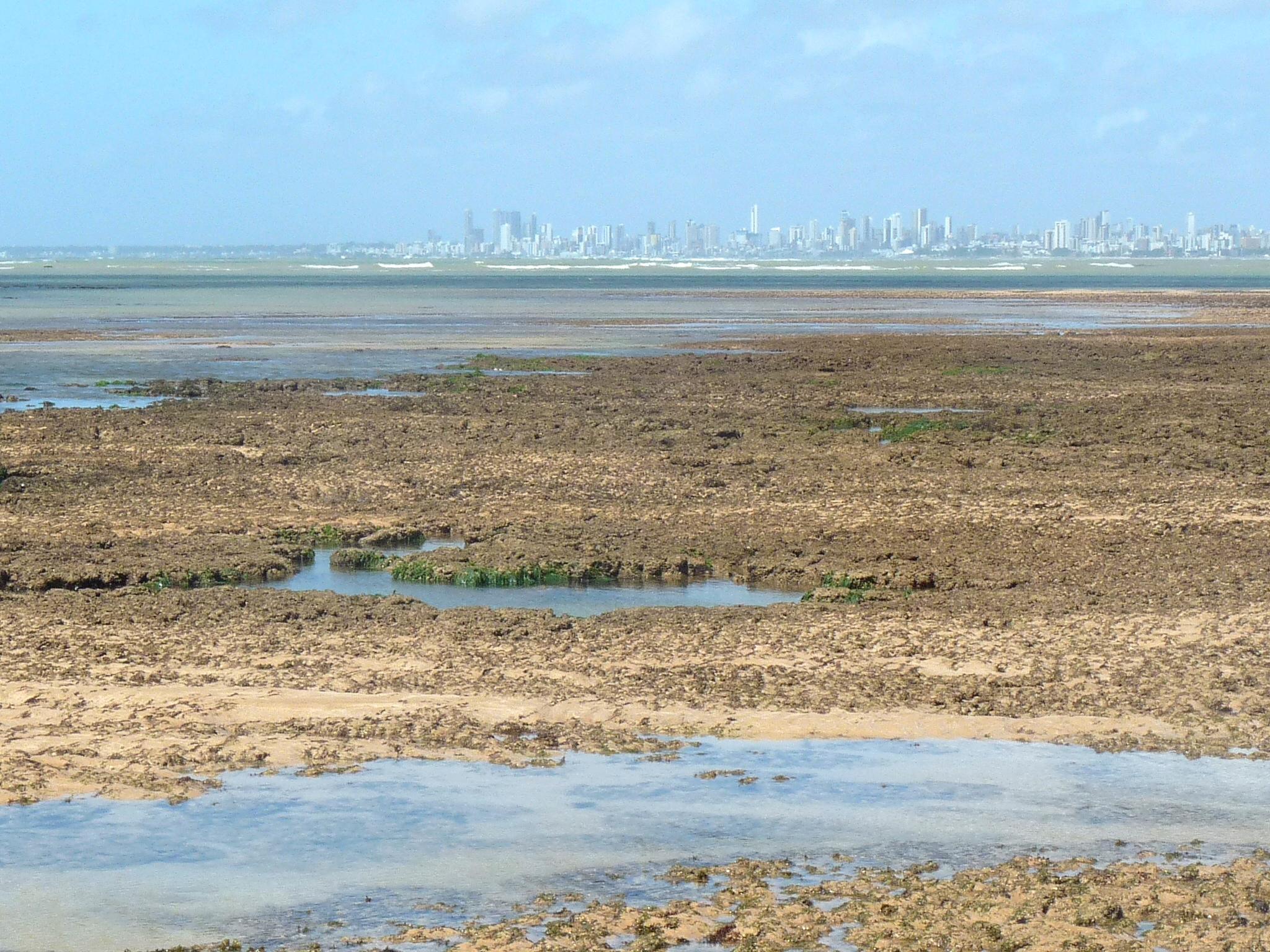 Parque Estadual Marinho de Areia Vermelha