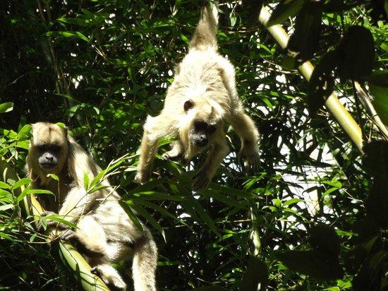Parque Ecológico do Matão