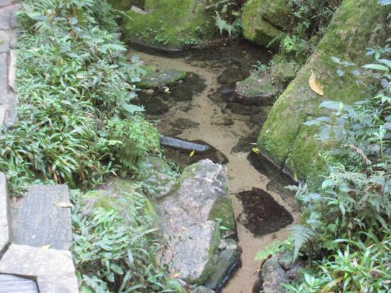 Parque Nascentes do Tietê