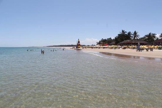 Praia do Francês