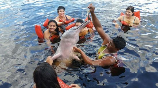 Manaus Dolphin Feeding