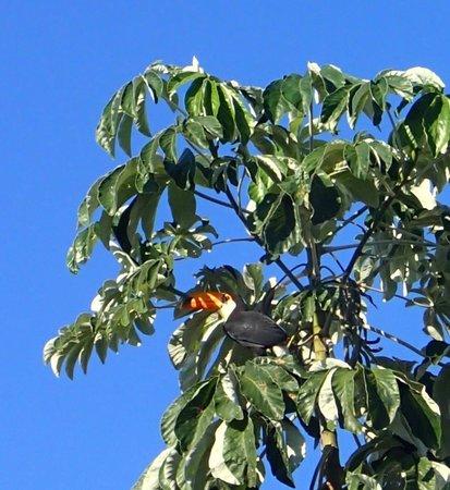 Bonito Ecological Tours