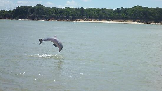 Passeio de Barco Lagoa das Guarairas