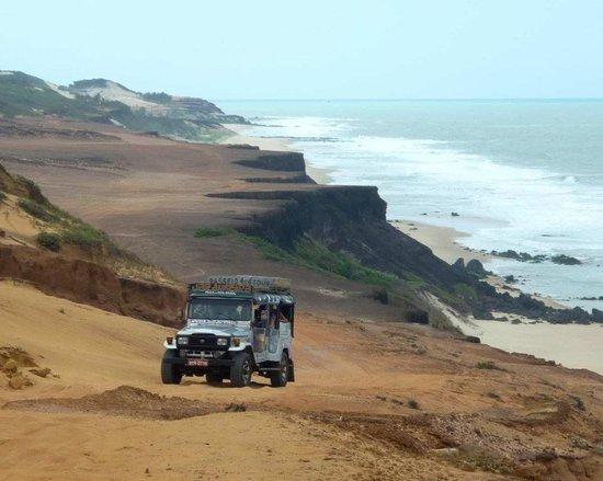 Jardineira 4x4 Tour