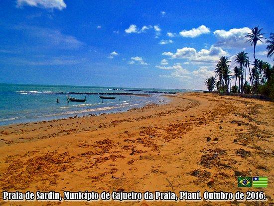 Sardin Beach