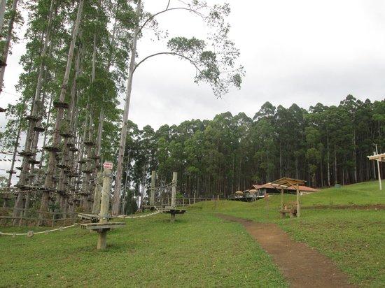 Selva Sassiri