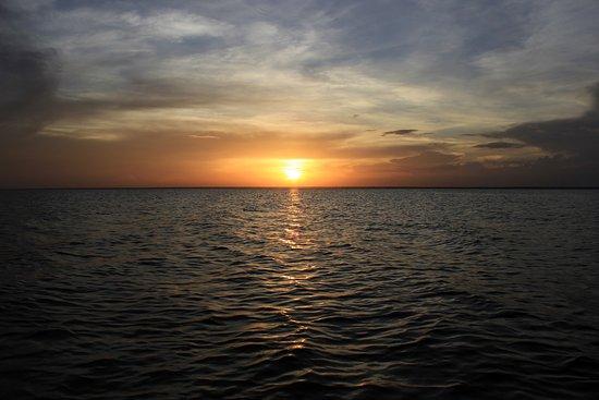Cururu's Point