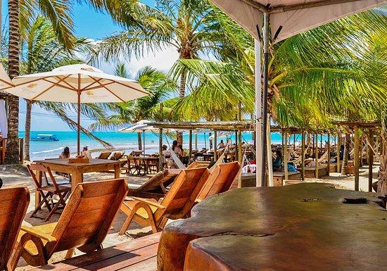 Hibiscus Beach Club