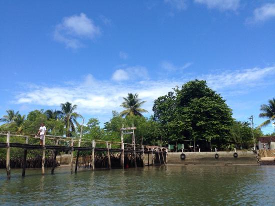 Ilha do Sapinho