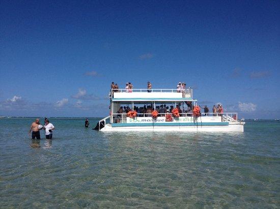 Manguezal Ecoturismo