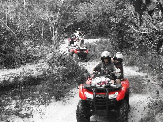 Quadri Adventure