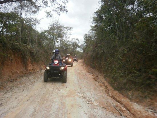 Ecoventura
