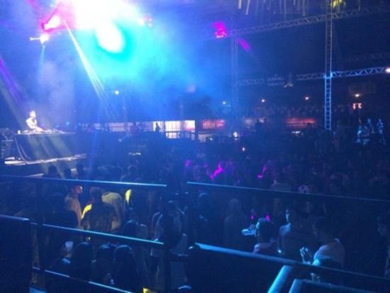 Pacha