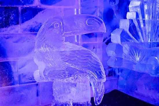 Ice Bar Brasil