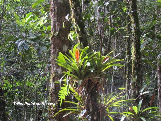 Portal da Reserva Trail