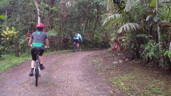 Ecobikers
