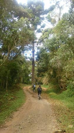 Pedal na Montanha