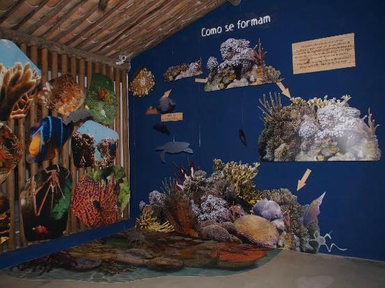 Espaco Coral Vivo Mucuge