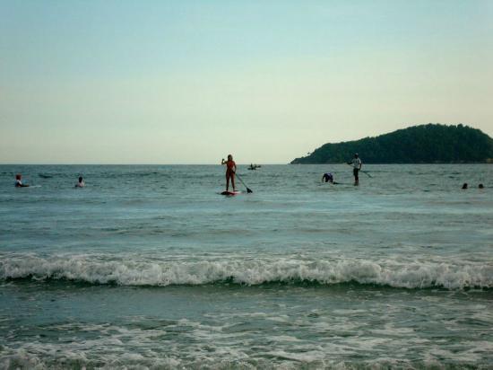 Escola De Surf Meio Da Baleia
