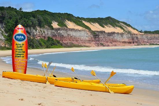 Pipa Surf School