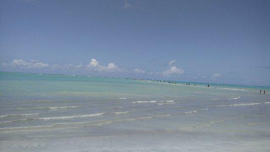 Praias Tur Maragogi