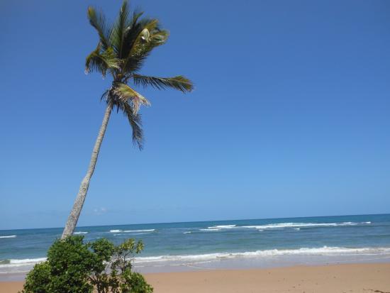 Praia de Algodões