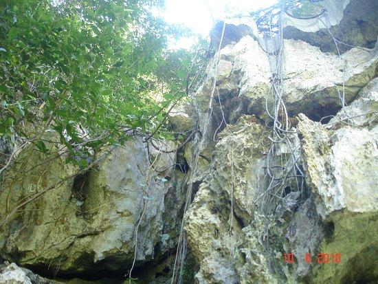 Gruta de Ubajara