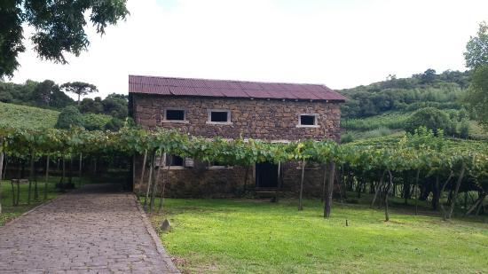 Caminhos de Pedra